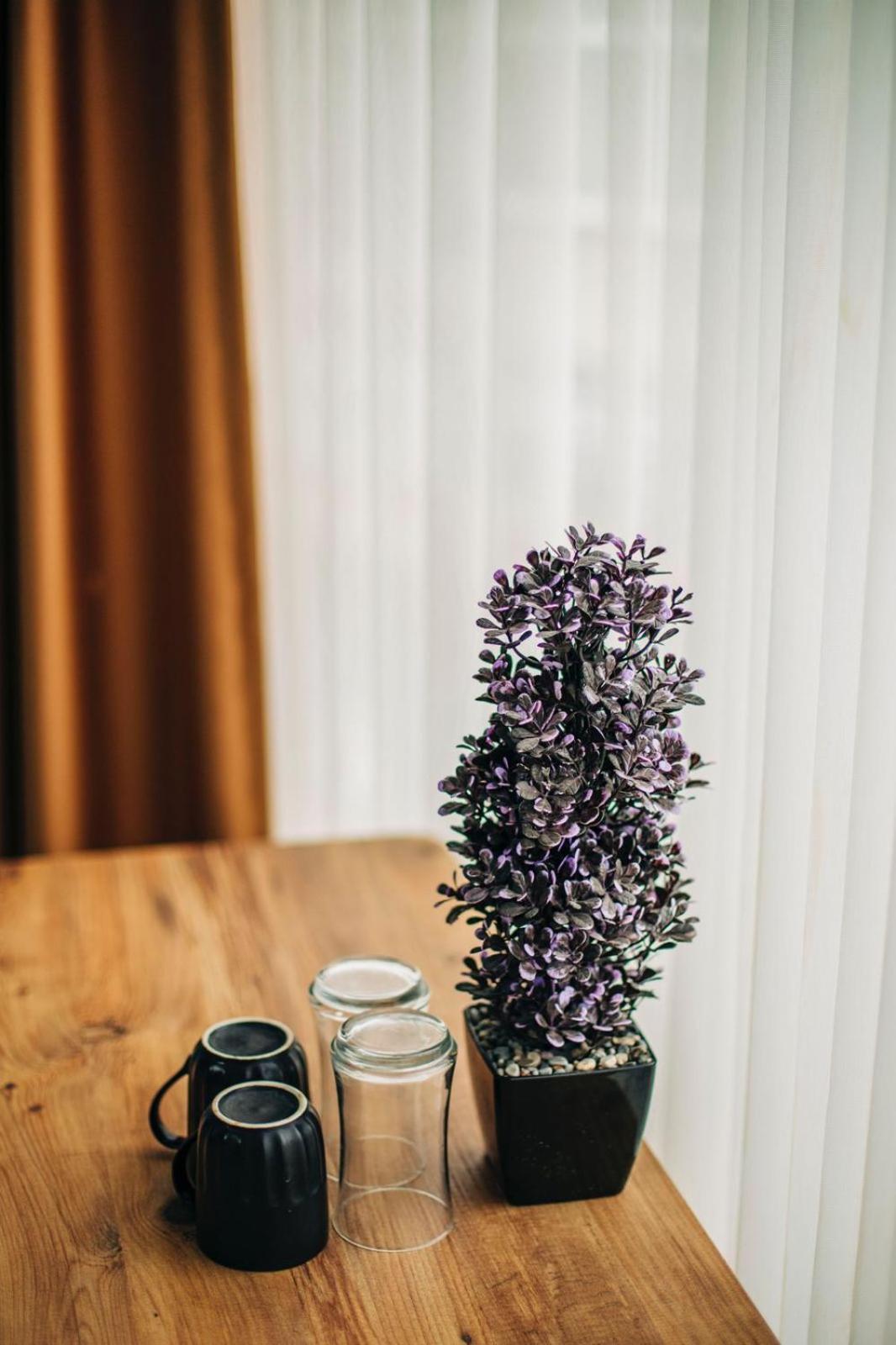 Ekinoks Hotel 이즈니크 외부 사진